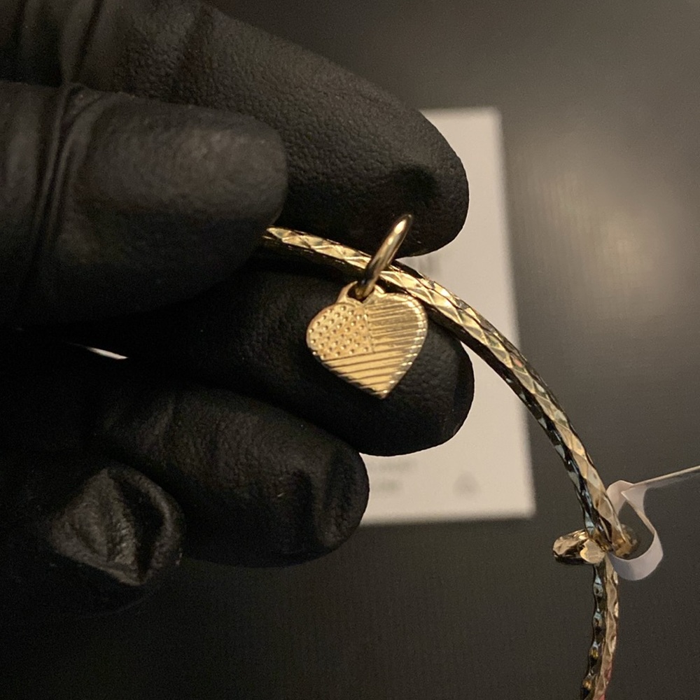 Alex and Ani (+) Energy bracelet NIB - Picture 2 of 4